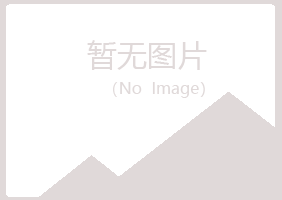 兰山区执念建筑有限公司